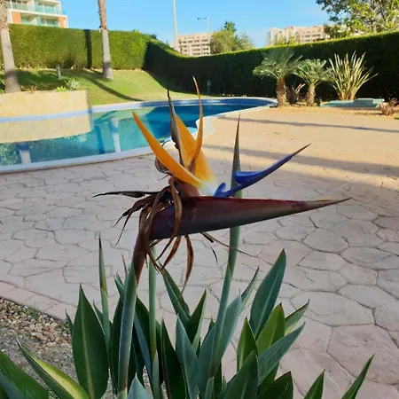 Apartment Litoral Mar