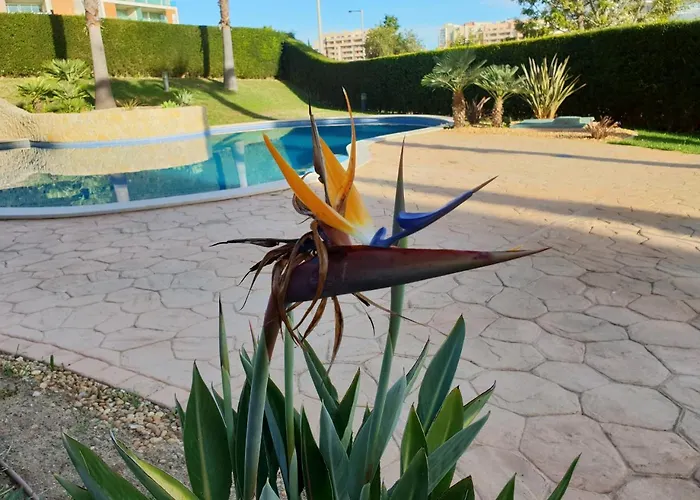 Apartament Litoral Mar